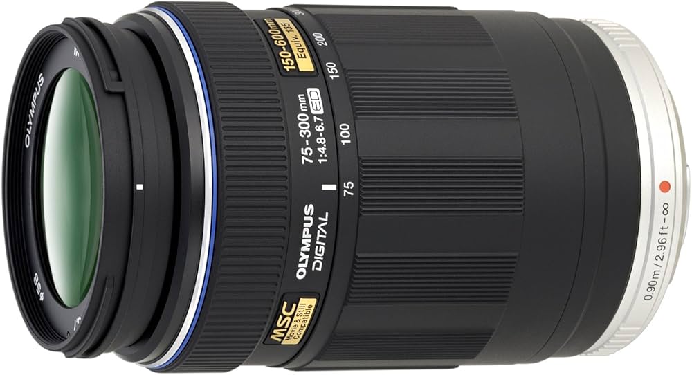 9月23日限定特価♪【超望遠レンズ】Canon EF 75-300mm Ⅱ 9月23日限定