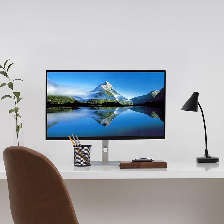 Amazon.com: Dell 24 inch Monitor, P2425H Full HD 1080p Computer