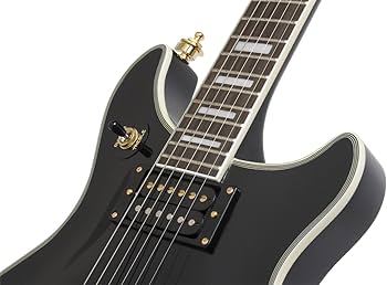 Amazon | Epiphone Limited Tak Matsumoto DC Custom EB | エレキ