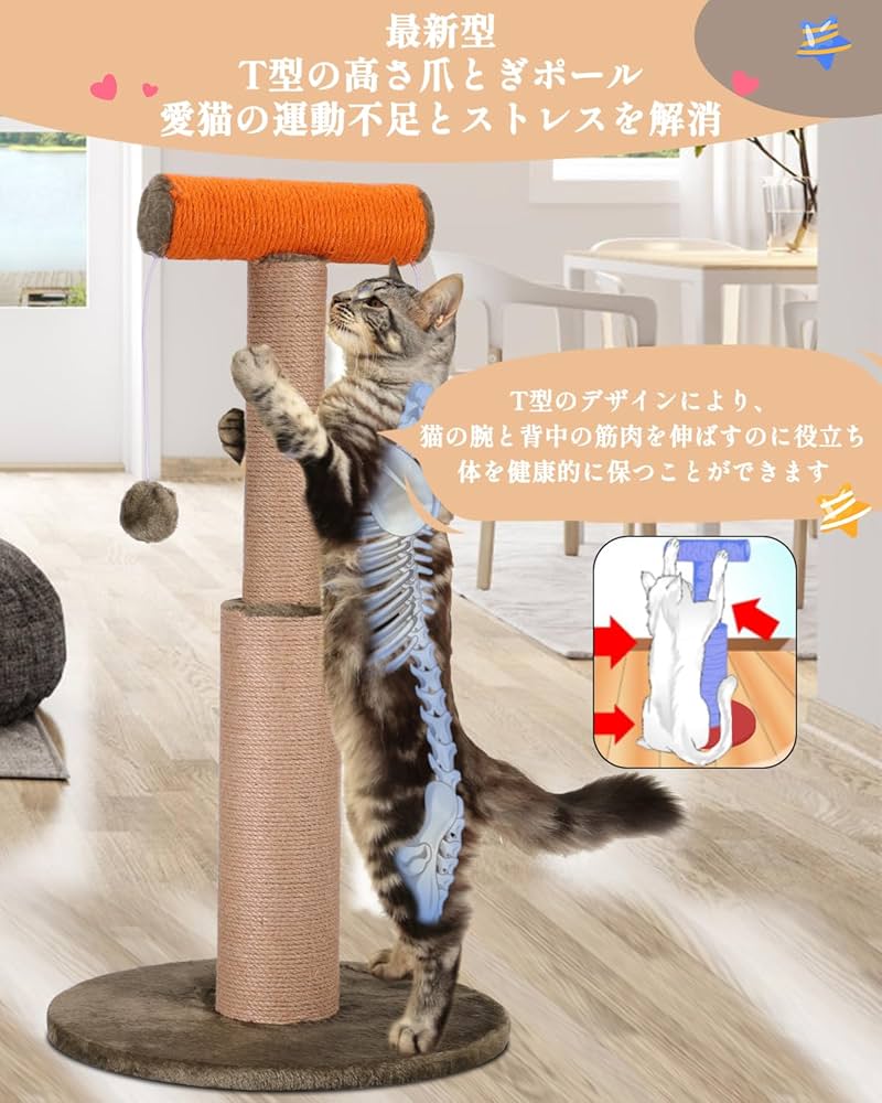 Amazon | SCHITEC 猫 爪研ぎ ポール 極太 爪とぎ 高さ75cm 天然