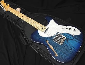 FGN テレキャスター NTE10MAH SBB Neo Classic