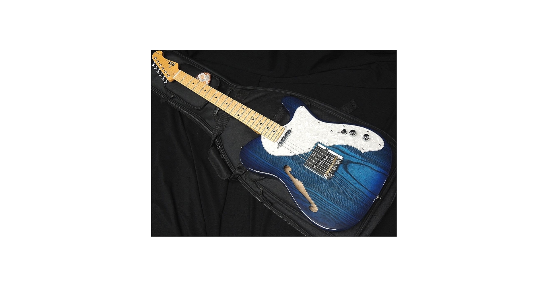 美品】Fujigen NTE100MAHT テレキャスターシンライン 最終値下 美品