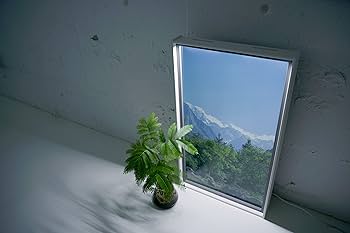 Amazon.co.jp: LED Light Module : ホーム＆キッチン