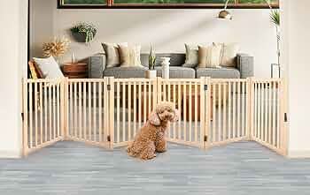 71rgnLXA7mL._AC_UF350,