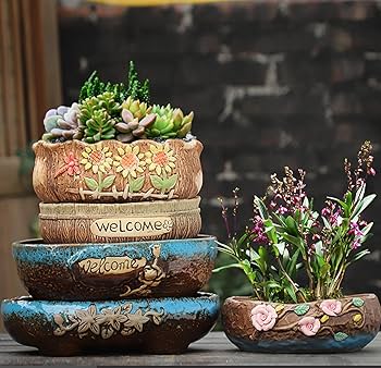 Amazon.co.jp: 多肉植物鉢 陶器鉢 サボテン鉢 植木鉢 盆栽鉢 観葉植物