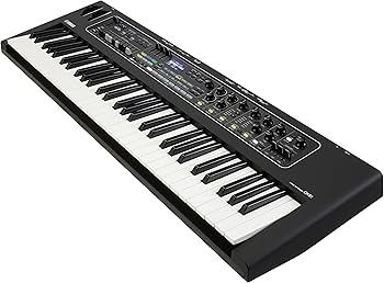 Amazon.com: Yamaha CK Series 61-Key Stage Keyboard with Built-In