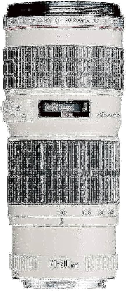 Amazon.com : EF 70-200mm f/4L USM Telephoto Zoom Lens : Camera