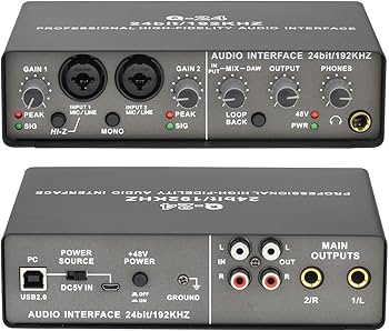 Amazon.co.jp: Bannik プロフェッショナル 24 ビット 192KHz