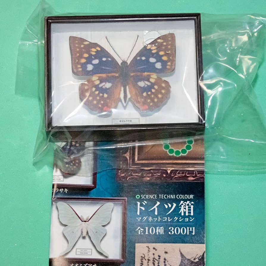 Amazon | 【オオムラサキ】単品 ドイツ箱マグネットコレクション 蝶