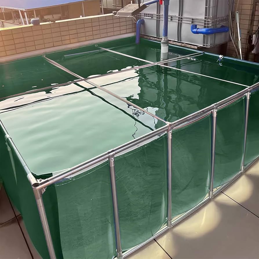 Amazon | 幅200cm奥行200cm高さ50cm アクアリウム 飼育 水槽 透明な