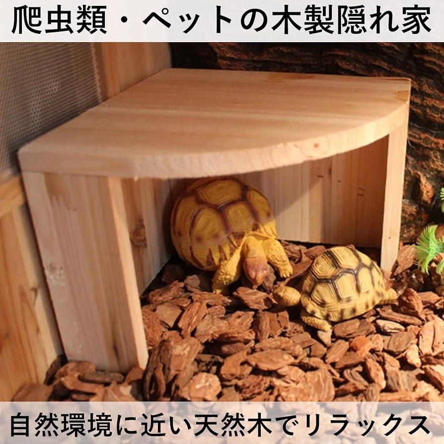 Amazon | heizi 隠れ家 シェルター 爬虫類 リクガメ 亀 カエル トカゲ