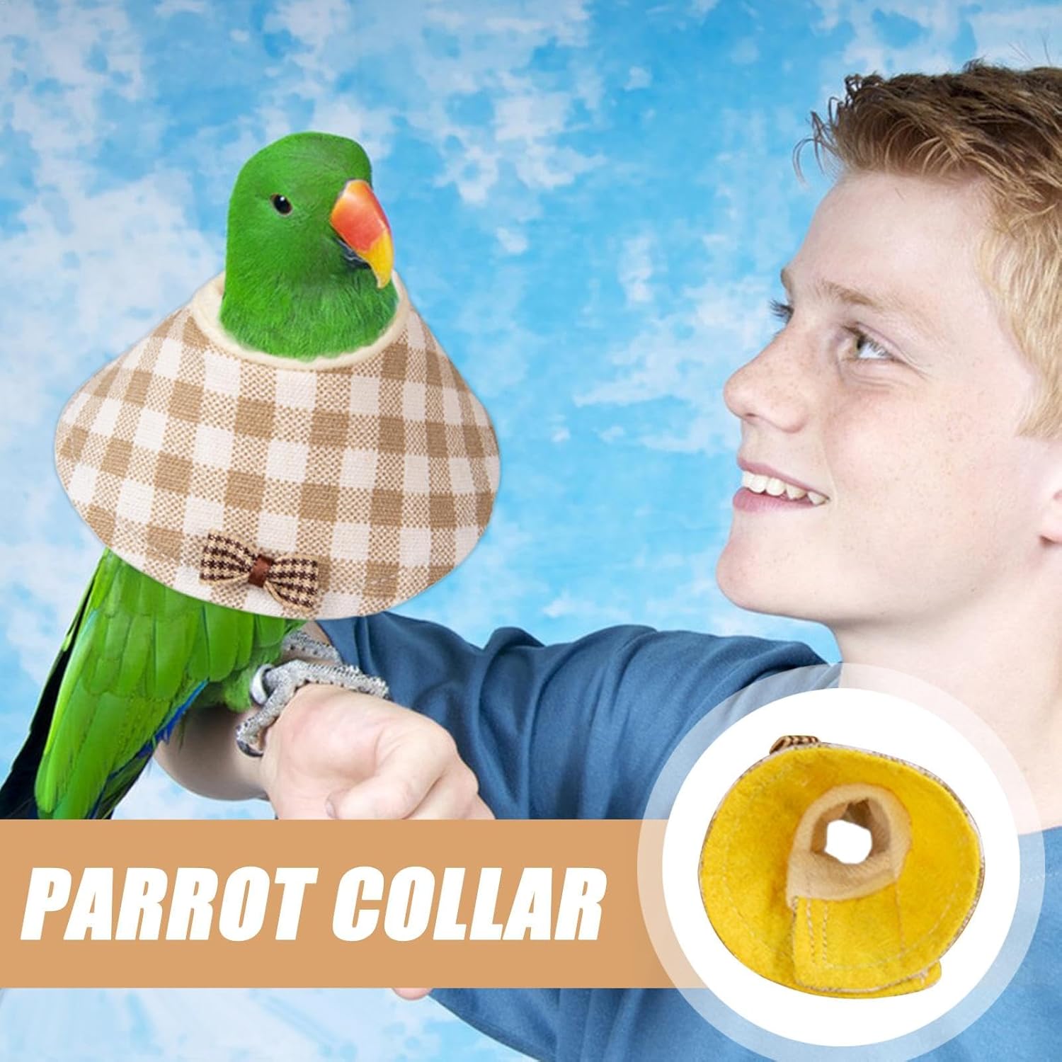 遊戯王メテオドラゴンスーパーレアPSA9 wcs2011 wp11英語