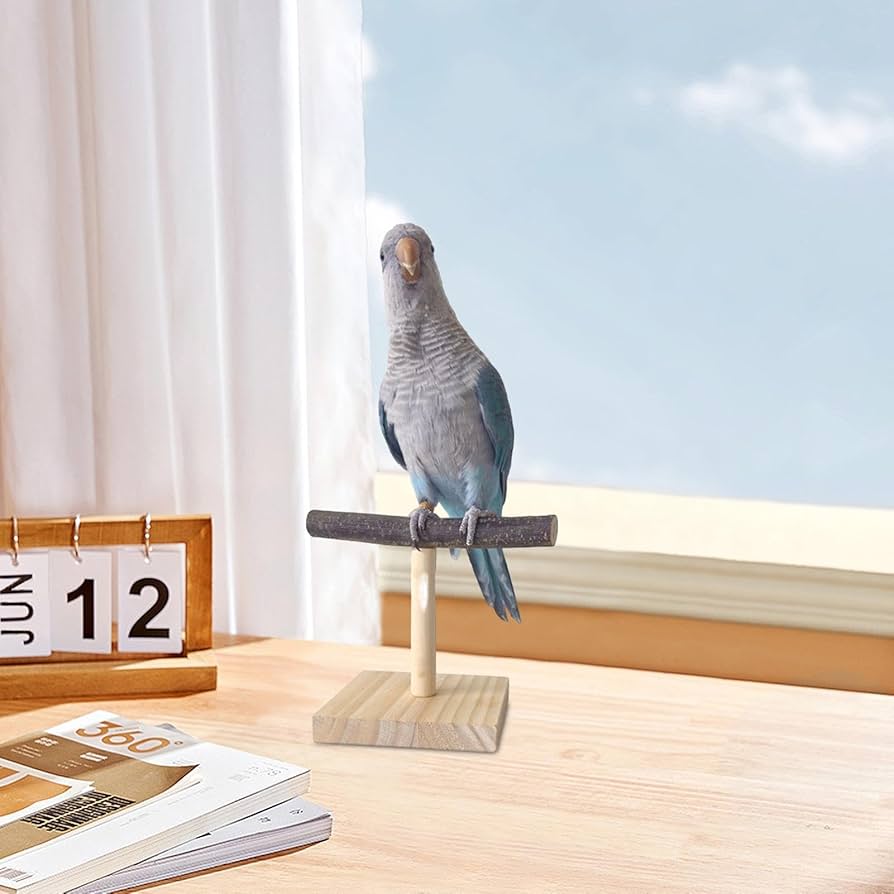 オウムスタンド(ヨウム用) 【公式通販】