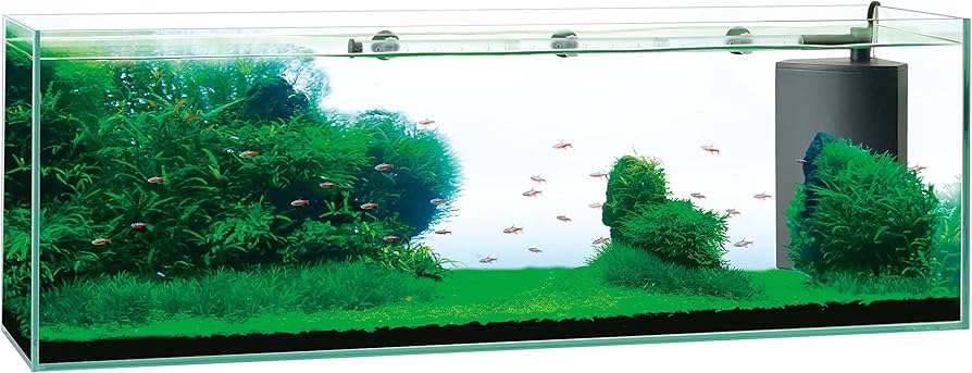 Amazon | ジェックス GEX AQUARIUM グラステリアサイレント900スリム