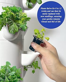 Amazon.co.jp: Sjzx - 水耕栽培システム - 屋内ハーブ用垂直