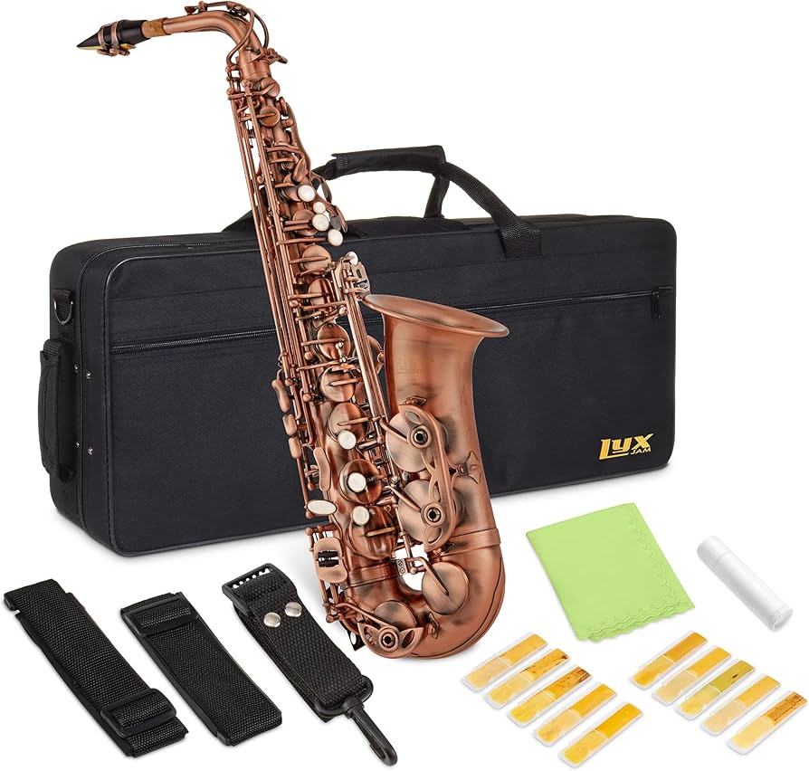 Amazon.com: LyxJam Alto Saxophone E Flat Brass Sax Kit