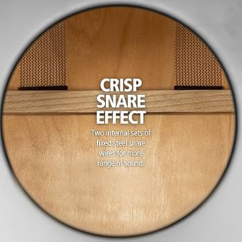 Amazon | MEINL Percussion マイネル カホン MCAJ100BK-MA+ 純正