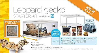 Amazon | GEX EXOTERRA レプテリア レオパ飼育キットM 爬虫類用ガラス