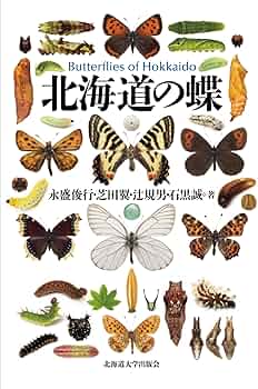 818-rRgfPGL._AC_UF350,