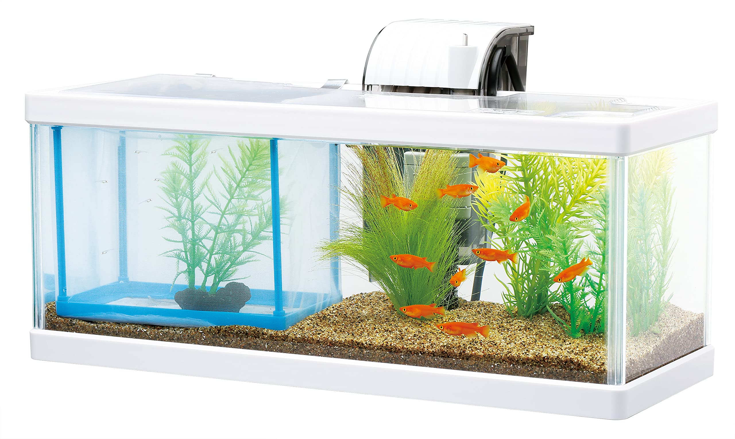 伊*寛様 【破格！？】引取限定 水槽一式セット エーハイム ZC-100水槽