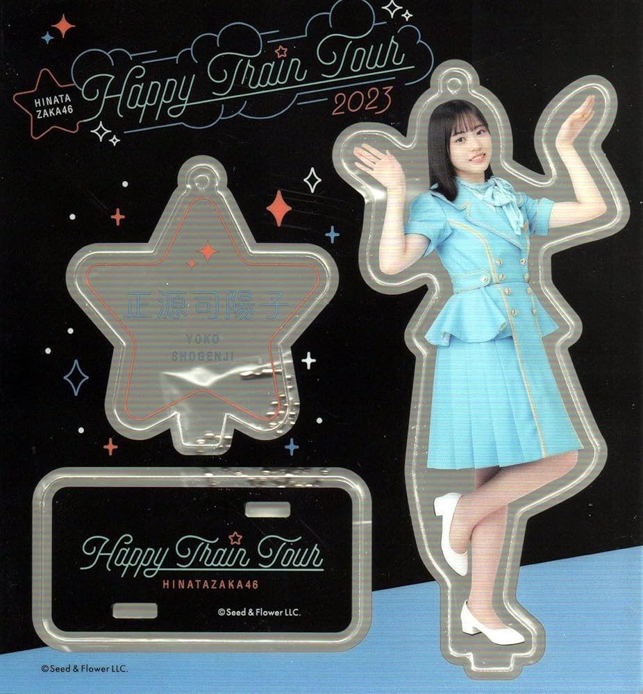 日向坂46 正源司陽子 ひなこれ リアルカード 1枚 【公式通販】