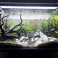 Amazon | 60cm水槽用 流木2本セット（黒色）【AQUASHOP wasabi