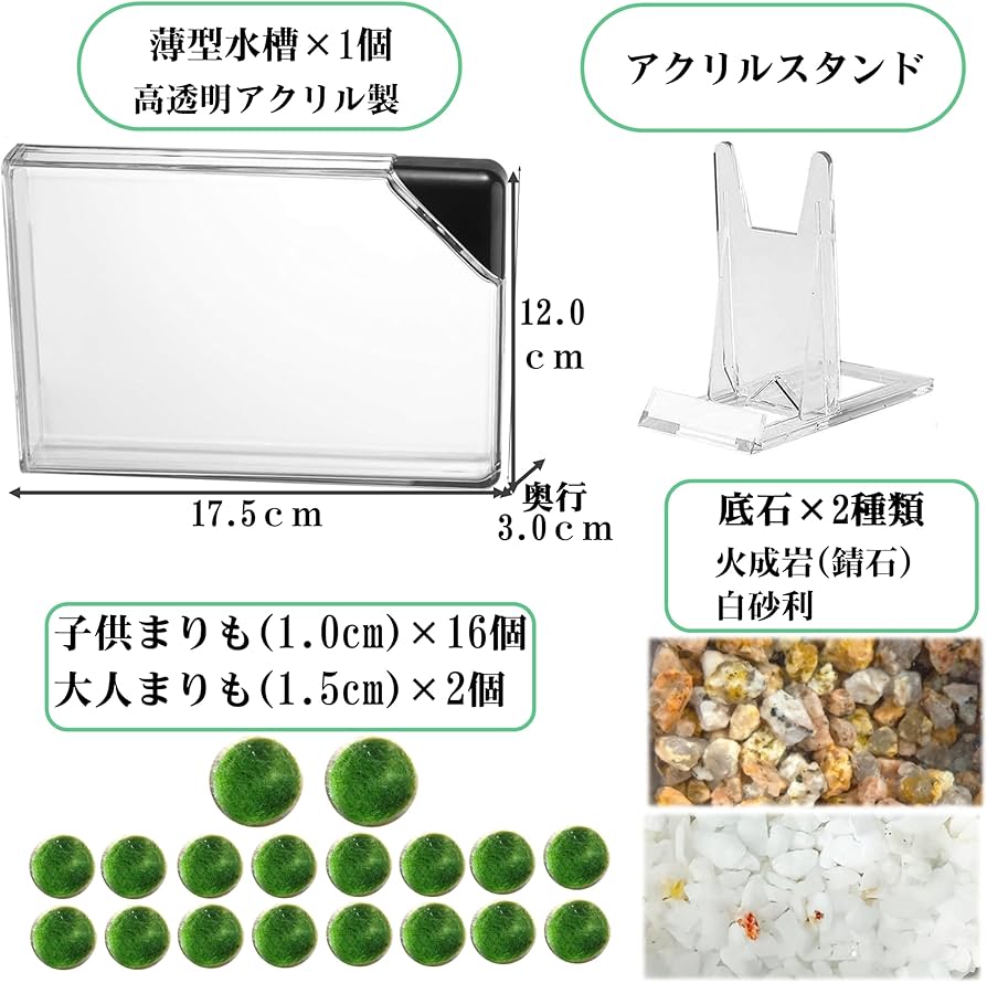 Amazon | まりも 18個 薄型水槽付き 飼育セット | 緑のふるさと