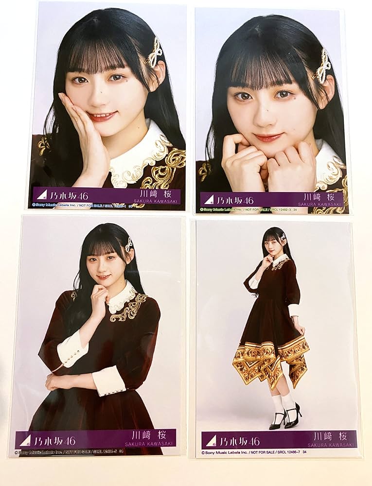 乃木坂生写真バラ売り(希望の生写真コメントに記入！) 乃木坂生写真