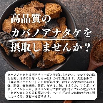 Amazon.co.jp: 自然健康社 カバノアナタケ茶 32パック×4個 チャーガ茶