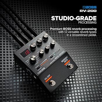 Amazon.com: Boss DD-200 Digital Delay & RV-200 Reverb Multi-FX