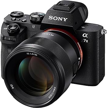Amazon.com : Sony SEL85F18 85mm F/1.8-22 Medium-Telephoto Fixed
