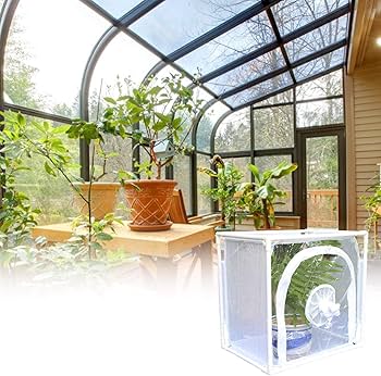 Amazon.co.jp: ビニールハウス ビニール温室 折りたたみ 簡易温室 昆虫