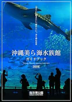 81+pOP+JraL._AC_UF350,