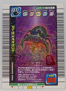 81-5rohLuXL._AC_UF350,