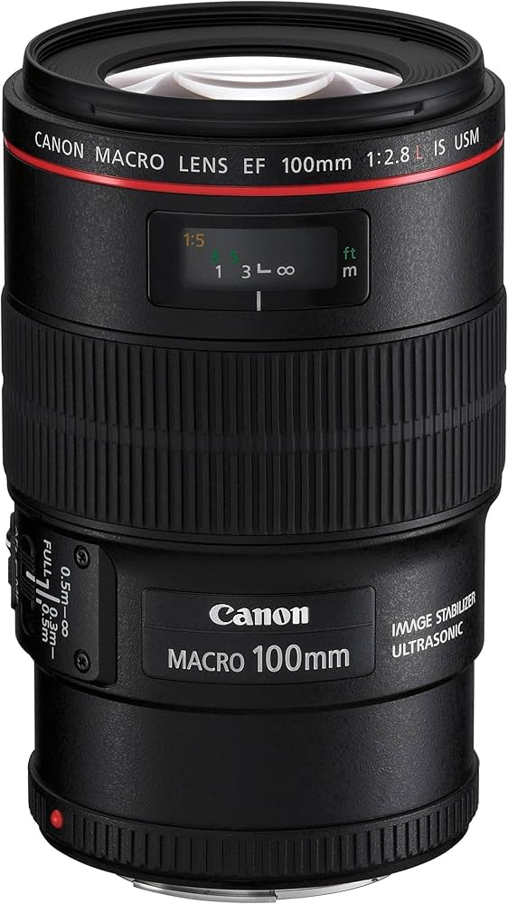 Amazon.com : Canon EF 100mm f/2.8L Is USM Macro Lens for Canon