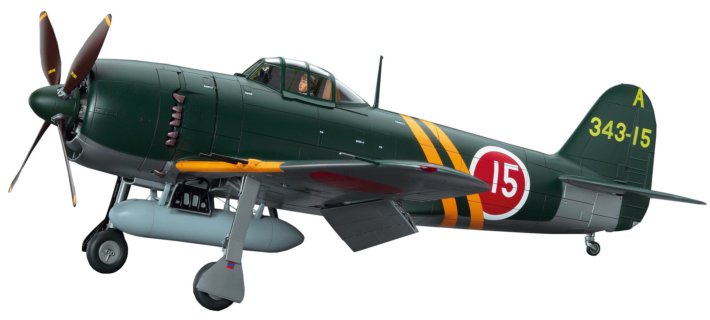 Amazon.com: Hasegawa 1:32 Scale Kawanishi N1K2-J Shidenkai Model