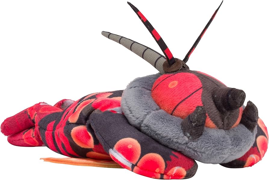 ポケモンセンター マッシブーン ぬいぐるみ 腕まくらぬいぐるみ BUG