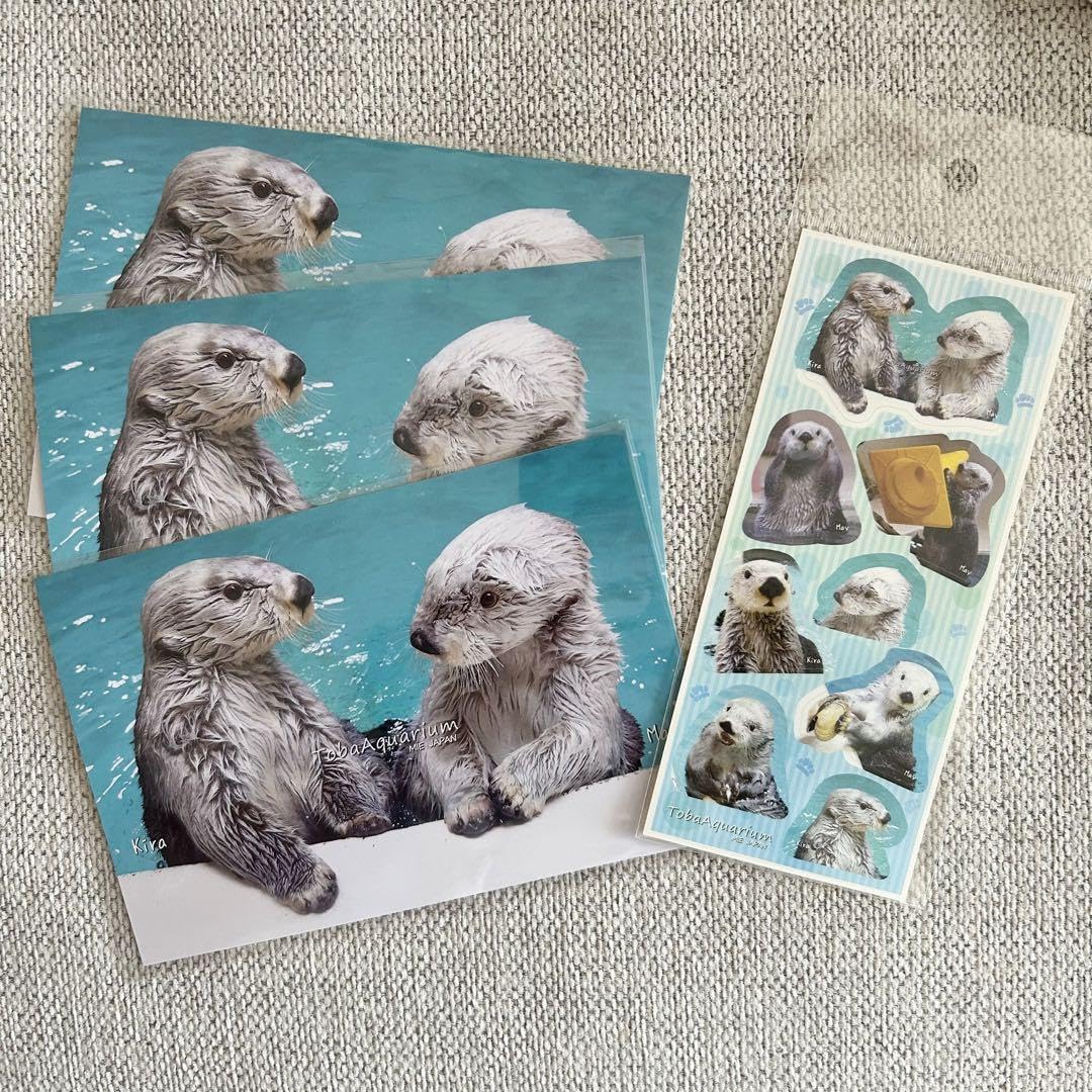 鳥羽水族館 70周年記念 コレクションカード メイ（レアカード）セット