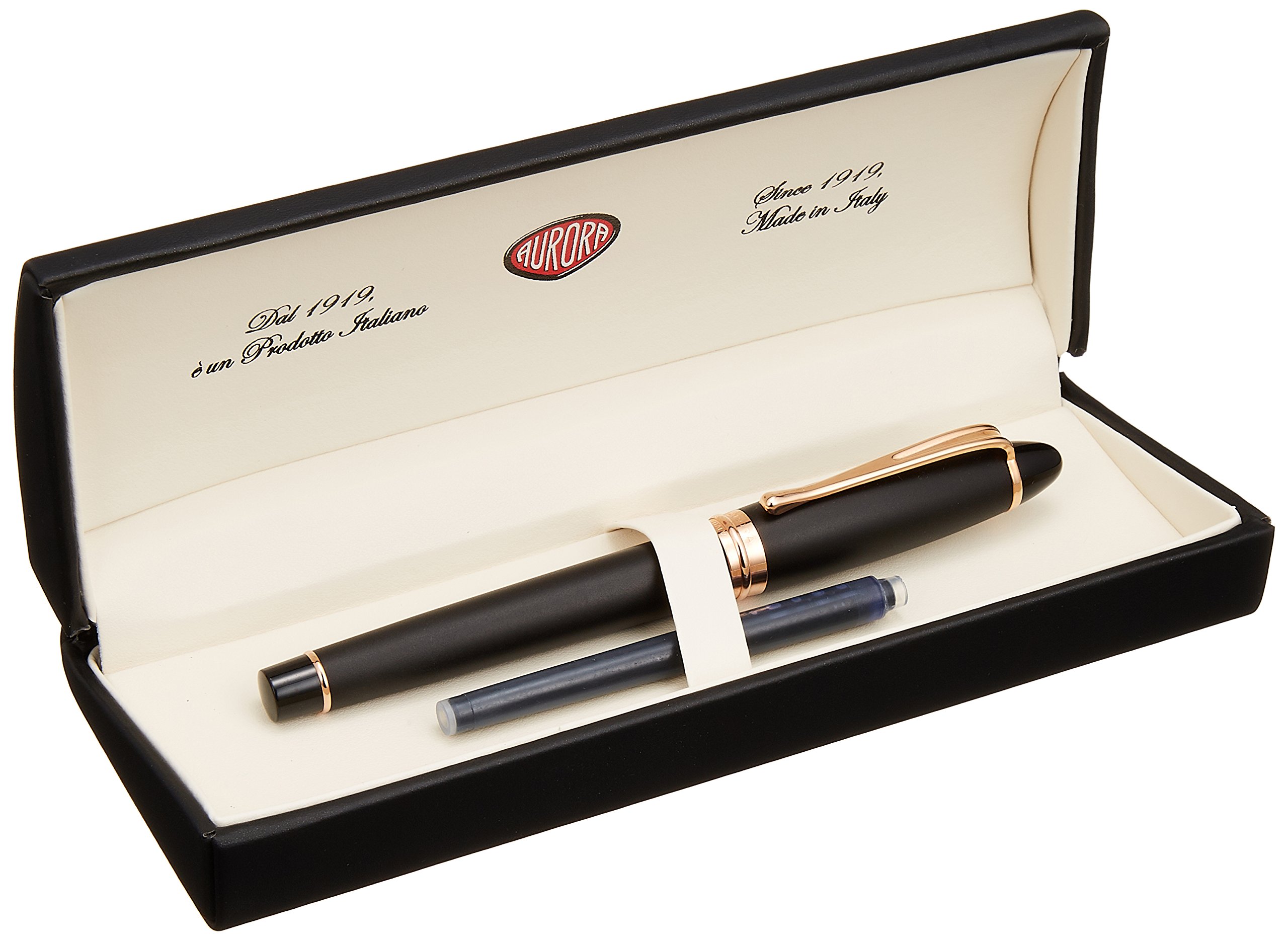 Amazon | アウロラ 万年筆 M 中字 イプシロン サテン ローズゴールド