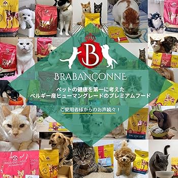 Amazon | ブラバンソンヌ 消化器サポート 猫用 キャットフード チキン