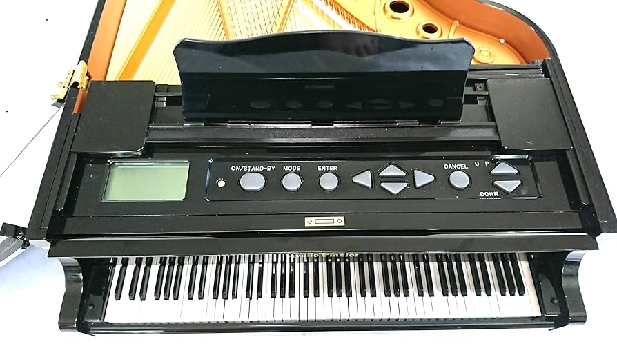 SEGA TOYS セガトイズ グランドピアニスト 自動演奏♪ 箱、説明書付き