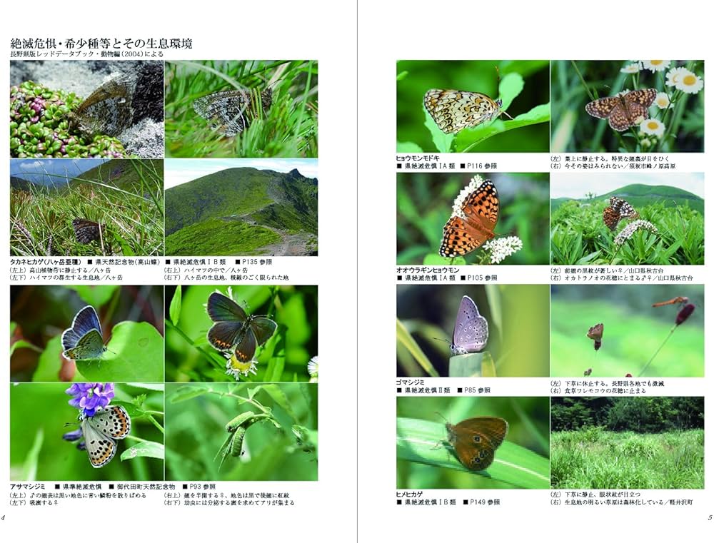 信州 浅間山麓と東信の蝶 | 鳩山邦夫, 小川原辰雄, 東信の蝶刊行委員会