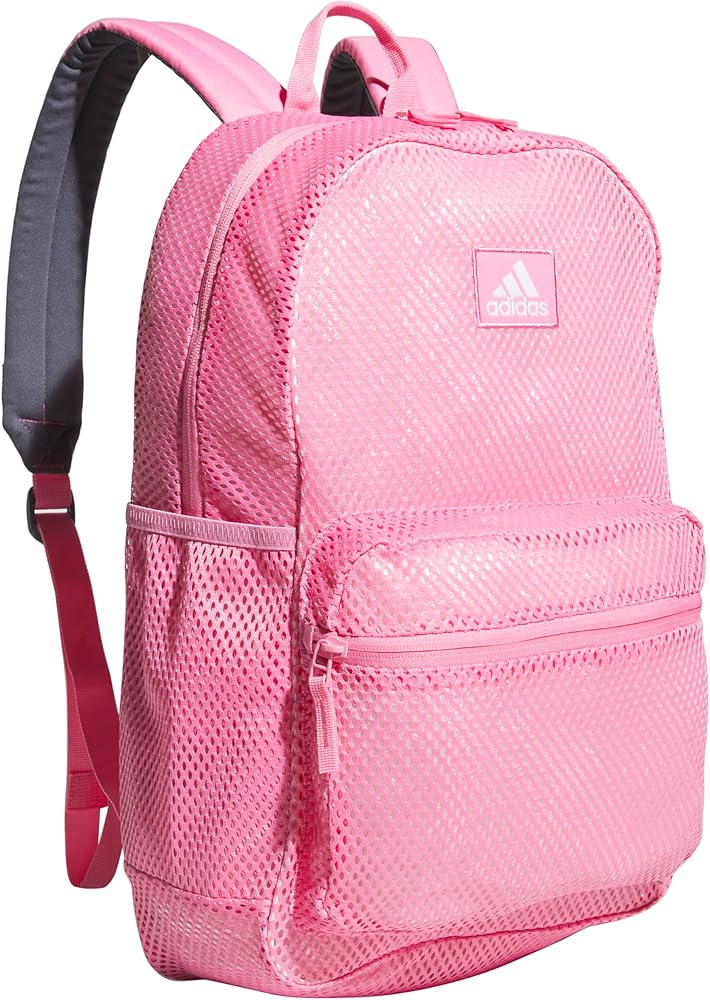 Amazon.com | Hermosa Mesh Backpack, see-through transparent