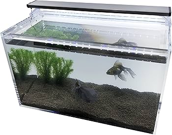 Amazon | 国産 板厚8mm アクリル水槽 60cm (w60×d30×h36) 耐久性