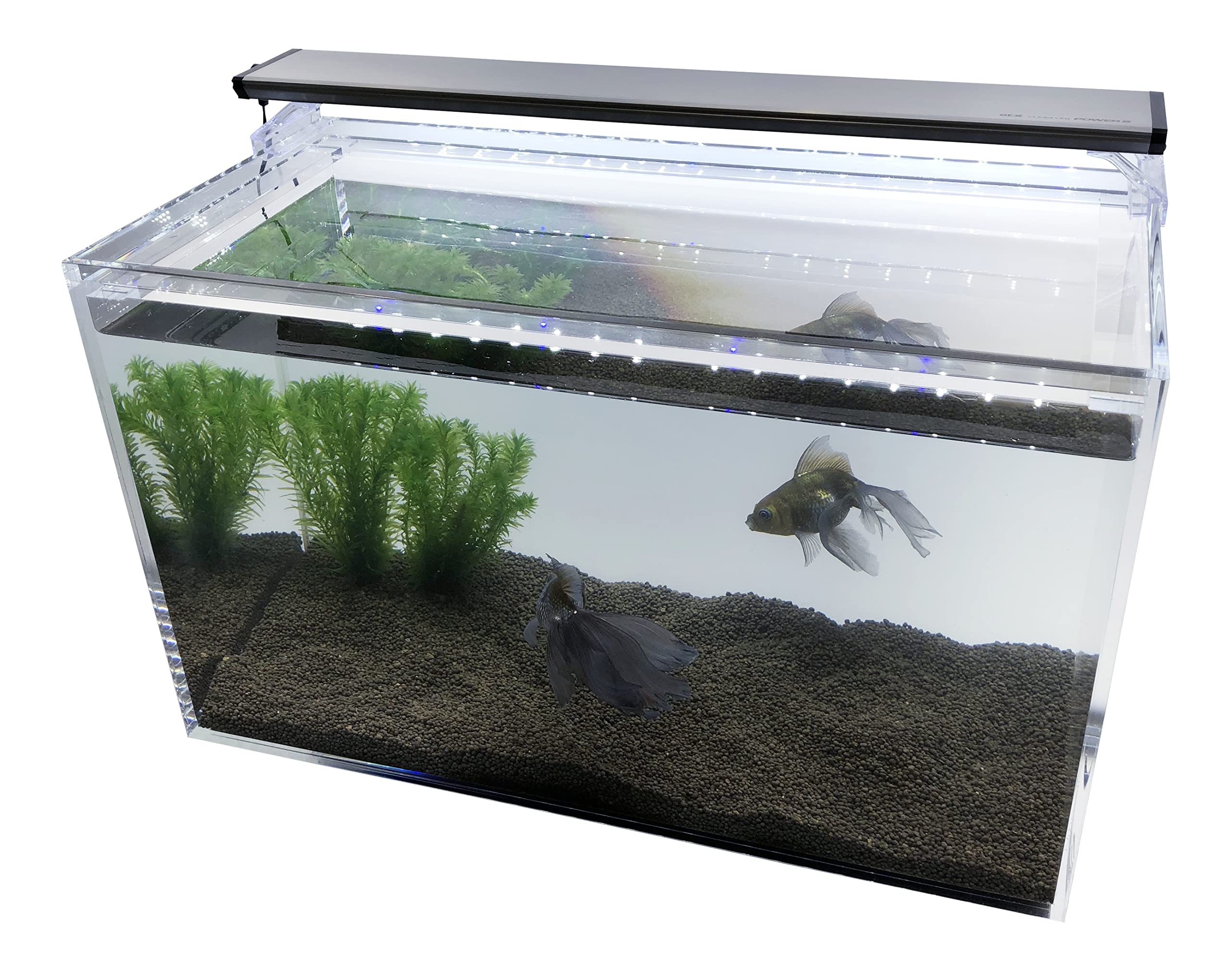 ADA キューブガーデン W600×D450×H360 ADA キューブガーデン 36cm水槽