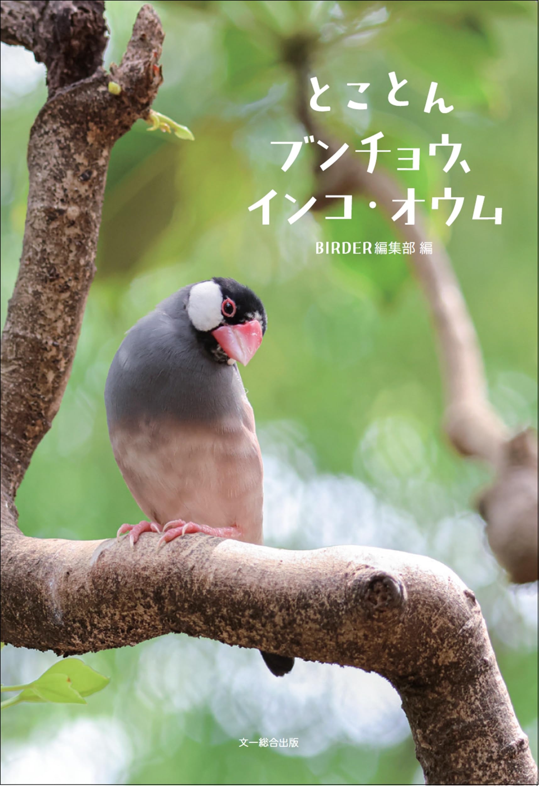 オウムインコ類マニュアル」学窓社 【公式通販】