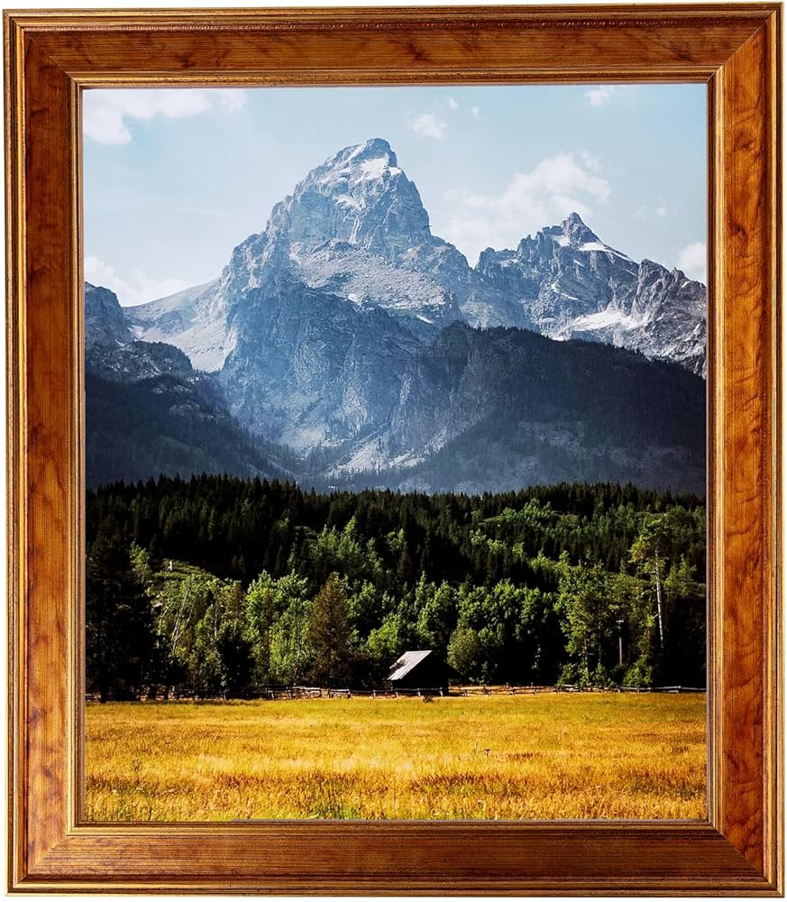 81tkrknBHfL._AC_UF894,