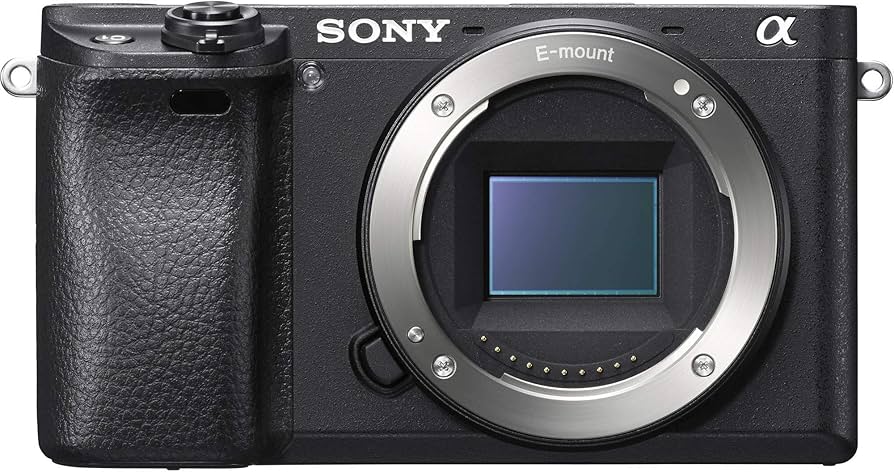 SONY α6500 ミラーレスカメラ バディ本体 Amazon | ソニー デジタル