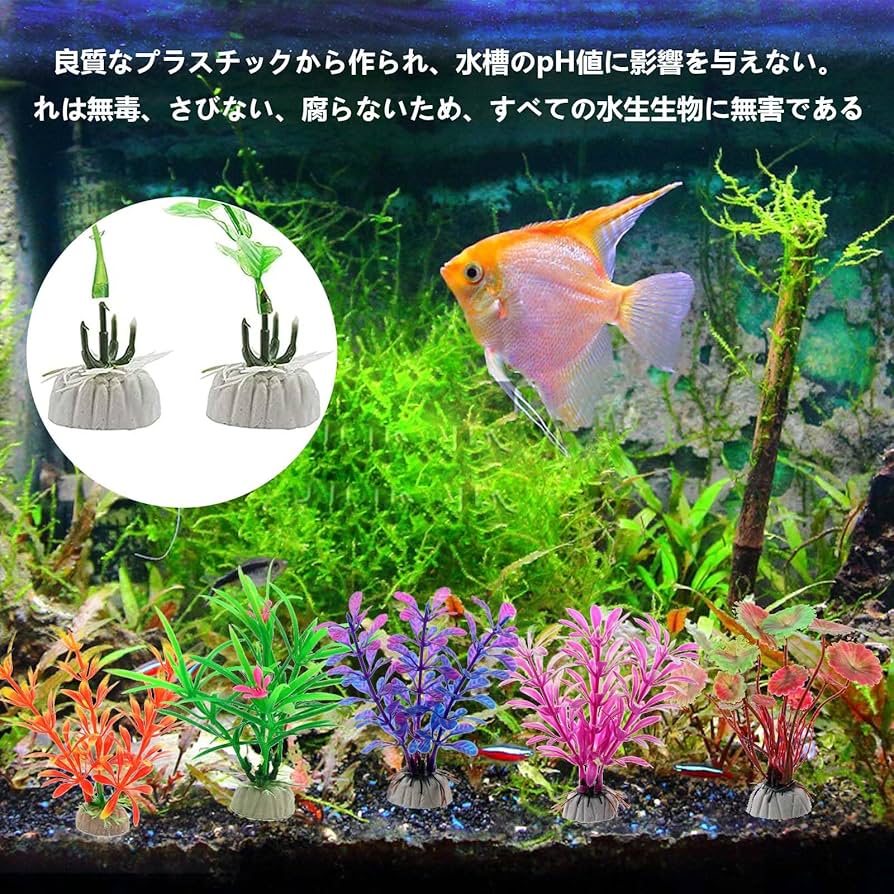 81veUA6h6mL._AC_UF894,