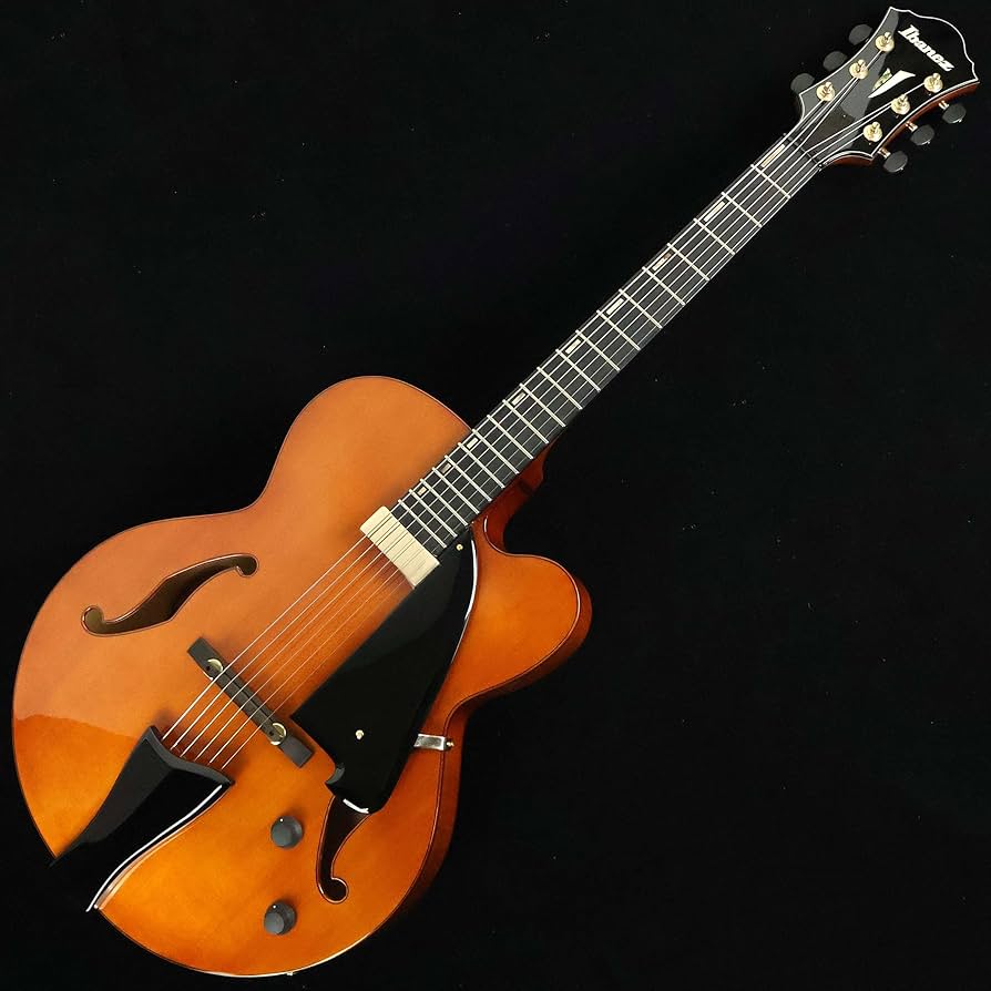 Amazon | Ibanez アイバニーズ Artcoreシリーズ フル・ホロウ・ギター